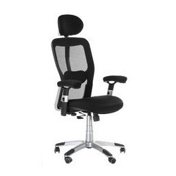  Fotel ergonomiczny CorpoComfort BX-4147 Czarny Beauty System
