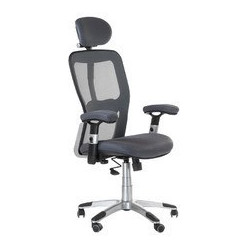  Fotel ergonomiczny CorpoComfort BX-4147 Szary