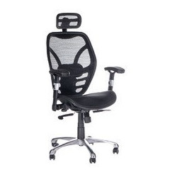 Beauty System Fotel ergonomiczny CorpoComfort BX-4036 Czarny 