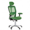 Beauty System Fotel ergonomiczny CorpoComfort BX-4147 Zielony  