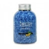 BINGOSPA Japanese Bath Salt 550g