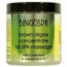 BINGOSPA Koncentrat alg brunatnych do masażu SPA z L-karnityną i koenzymem Q10    250g