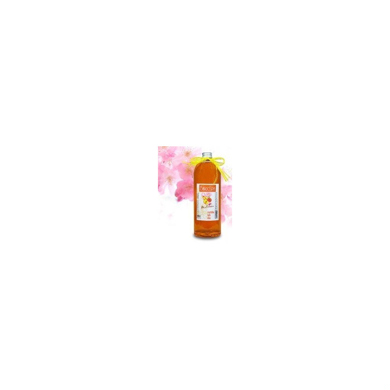 BINGOSPA Mallorca crystalline bath elixir 1000ml   