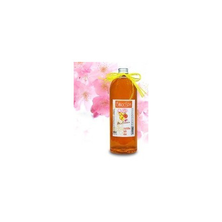 BINGOSPA Mallorca crystalline bath elixir 1000ml   