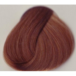 PROFIS FARBA DO WŁOSóW LASTRADA KOLOR 8.33 JASNY BLOND KONIAKOWY 100ML                                                      