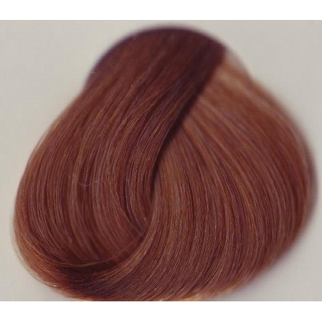 PROFIS FARBA DO WŁOSóW LASTRADA KOLOR 8.33 JASNY BLOND KONIAKOWY 100ML                                                      