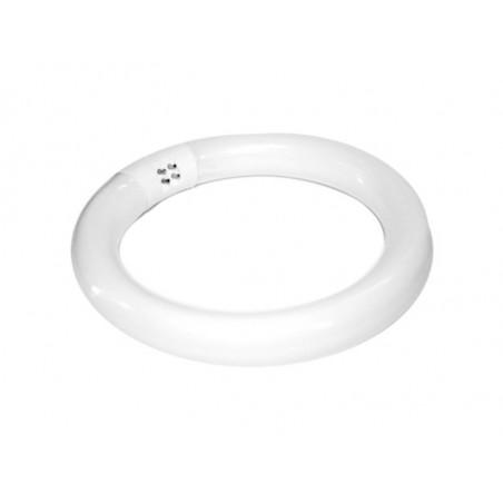 ŻARÓWKA (ŚWIETLÓWKA) 22W LAMPA LUPA