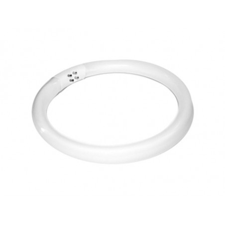 ŻARÓWKA (ŚWIETLÓWKA) 22W LAMPA LUPA S4                                            !  